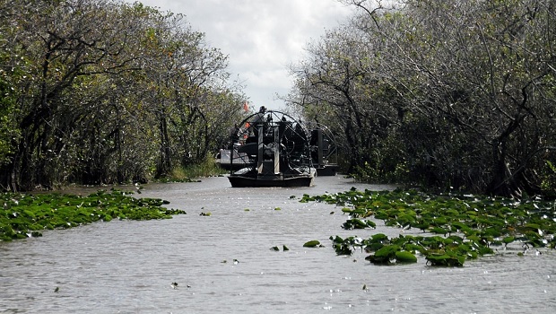 activités à faire dans les everglades